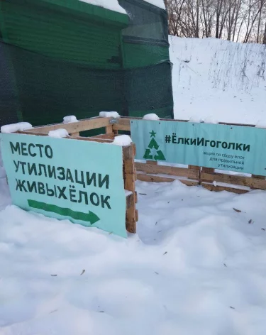 Администрация Новокузнецка напомнила о сборе новогодних елей на корм животных