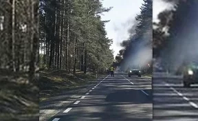 В Польше на ходу загорелся грузовик с американскими военными, есть пострадавшие