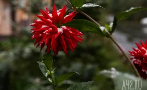 Евлампий Зимоуказатель: народные приметы на 23 октября