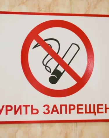 Фото: А42.RU
