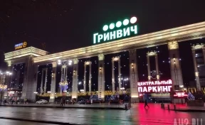 В ТЦ Екатеринбурга вооружённые бойцы в масках вручили иностранцам повестки