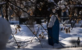 Власти Кемерова повысили плату за резервирование участка для семейных могил 