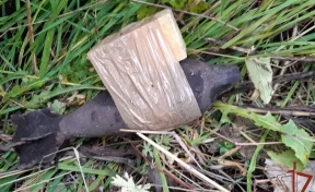 В Кузбассе мужчина нашёл мину времён ВОВ во время уборки картофеля 