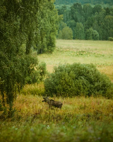 Фото: A42.RU