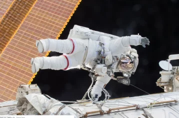 Фото: Учёные: у космонавтов после полётов меняется структура мозга 1