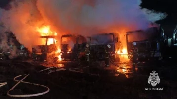 Фото: Под Уфой на автостоянке ночью сгорели шесть грузовиков 1