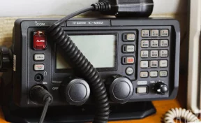 Трое пропавших погибли, 239 были найдены живыми в ноябре в Кузбассе