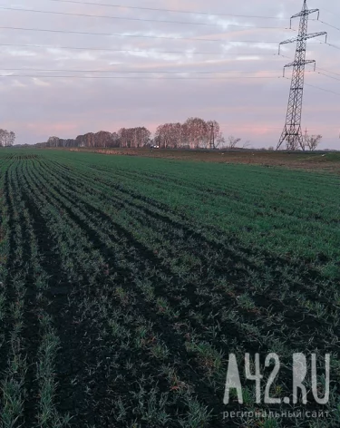 В Кузбассе угольщикам передадут почти 60 га сельхозземель в двух округах