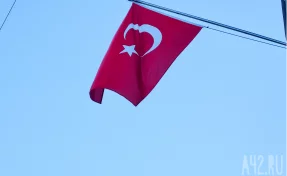 Эксперт по вопросам безопасности назвал фразу, которая спасёт от мошенников в Стамбуле