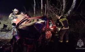 В Калининградской области в ДТП погиб 1 человек