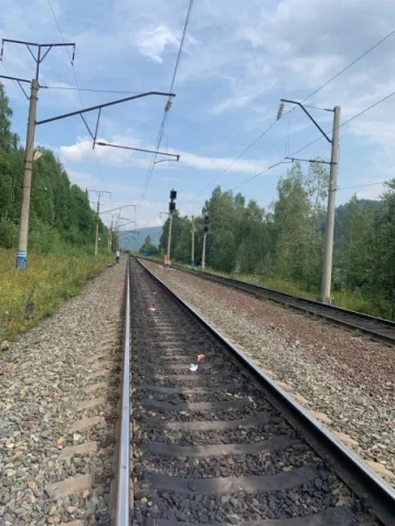 Фото: Полиция просит помочь установить личность мужчины, насмерть сбитого поездом в Кузбассе 1