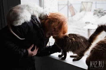 Фото: Ветклиника ищет работника на вакансию «обниматель котиков» 1