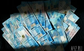 Жительница Кузбасса поверила продавцу криптовалюты из Сингапура и потеряла 280 000 рублей