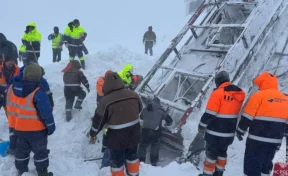 Власти объяснили, как выжил геолог, пролежавший ночь под лавиной на Камчатке