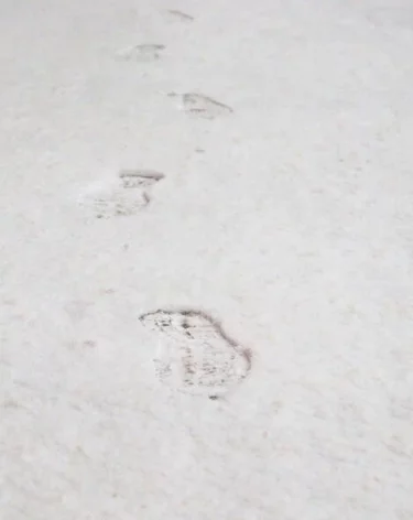 «Показались ноги»: ребёнок, которого два дня искали на Сахалине, прятался дома под диваном