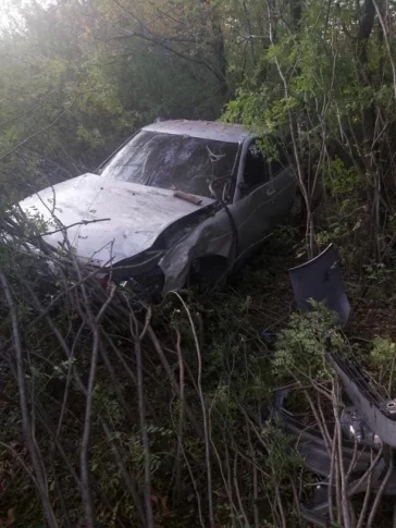 Фото: В Кузбассе автомобиль слетел с дороги и врезался в дерево 2