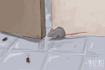 Фото: Кузбассовцы в магазине заметили мышь в холодильнике с мясом 1