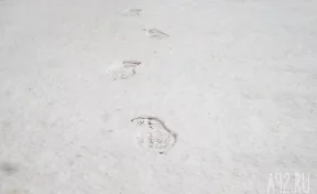 «Показались ноги»: ребёнок, которого два дня искали на Сахалине, прятался дома под диваном