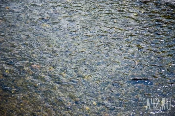 Фото: В Ростове-на-Дону нашли холероподобную микрофлору в реке  1