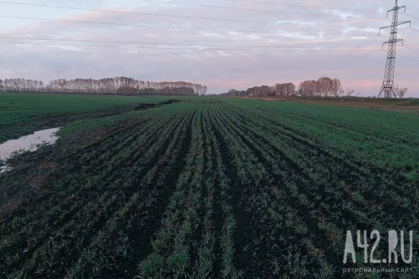В Кузбассе угольщикам передадут почти 60 га сельхозземель в двух округах