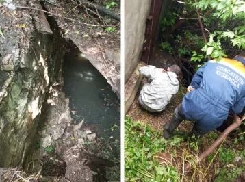 Фото: В Мариинске спасатели вытащили собаку из ямы с водой 1