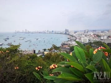 Фото: В Таиланде российский турист ушёл в запой и умер 1