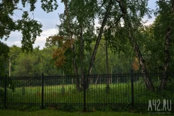 Фото: Кузбассовец взял в аренду у государства землю в престижном месте и попытался её продать 1