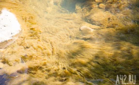 В Кузбассе разработали уникальную технологию очистки иловых отходов