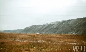 В Кузбассе рекультивируют более 2 тысяч Га земель, на которых добывали уголь