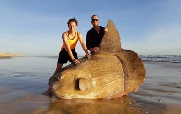 Фото: Австралийские рыбаки удивили пользователей Сети своей необычной находкой    1