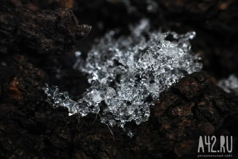 Фото: Прощаясь с осенью: контрасты в макрообъективе 17