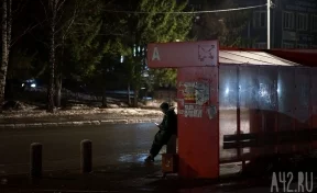 Власти Кемерова объяснили, почему в городе не устанавливают тёплые остановки
