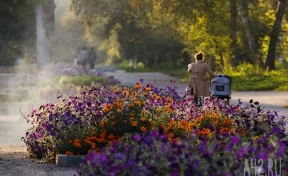 «Бабье лето» в Кузбассе: синоптики дали прогноз погоды на выходные