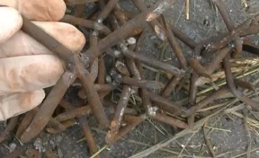 Задержаны «вредители», расставлявшие шипы на трассе Бийск — Новокузнецк