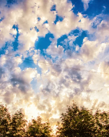 2025 год войдёт в тройку самых тёплых за всю историю