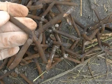 Фото: Задержаны «вредители», расставлявшие шипы на трассе Бийск — Новокузнецк 1