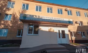 В Кемерове наказали виновного в падении глыбы льда с крыши на ребёнка