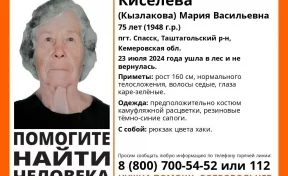 Кузбасская пенсионерка ушла в лес и пропала: начались поиски