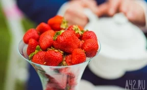 Врач назвала 5 продуктов, которые лучше всего спасают от обезвоживания во время жары