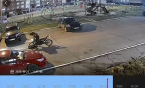 В Чувашии водитель питбайка сбил 7-летнего ребёнка и скрылся