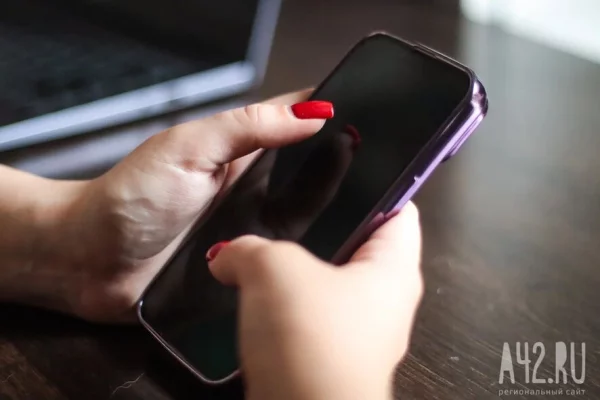 Организаторов мошеннических кол-центров задержали в Сибири