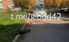 Трое детей на электросамокатах попали под машину в Киселёвске