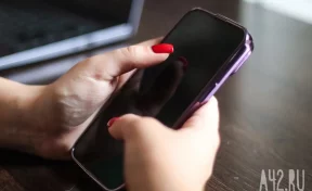 Организаторов мошеннических кол-центров задержали в Сибири