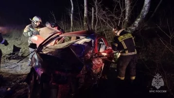 Фото: В Калининградской области в ДТП погиб 1 человек 1