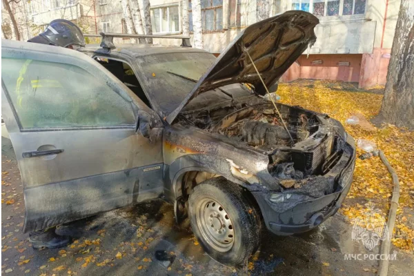 В Кургане прохожие спасли пенсионера из горящей машины