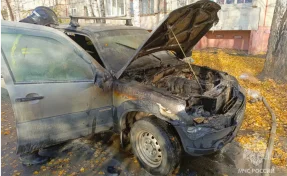 В Кургане прохожие спасли пенсионера из горящей машины