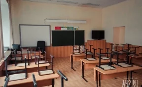 Власти: 17 школ Новокузнецкого округа перешли на дистанционное обучение