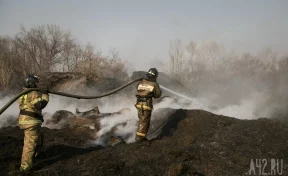 За сутки в Кузбассе произошло два лесных пожара