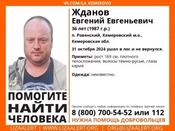 Фото: В Кузбассе начались поиски пропавшего в лесу 36-летнего мужчины 1
