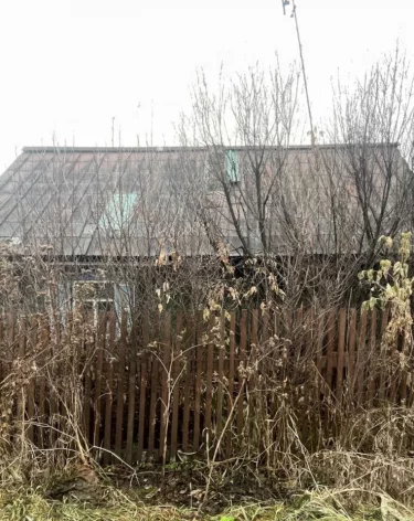 Жительница Прокопьевска фиктивно зарегистрировала иностранку в своём заброшенном доме